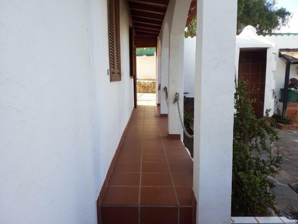 Palmeras Ingenio Exteriér fotografie