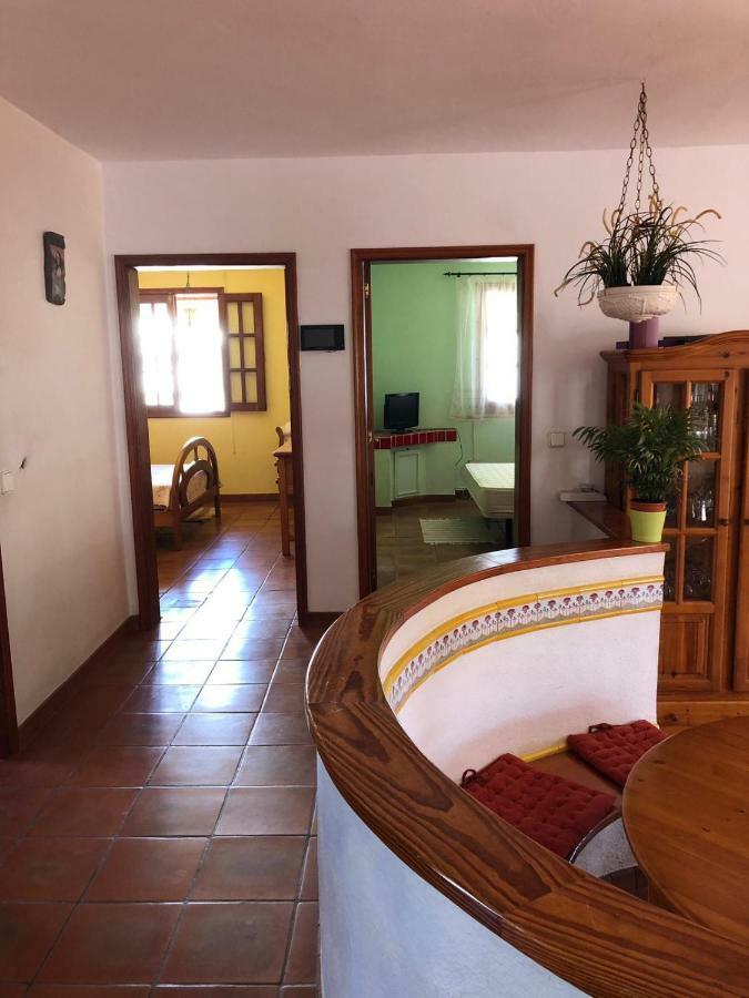 Palmeras Ingenio Exteriér fotografie